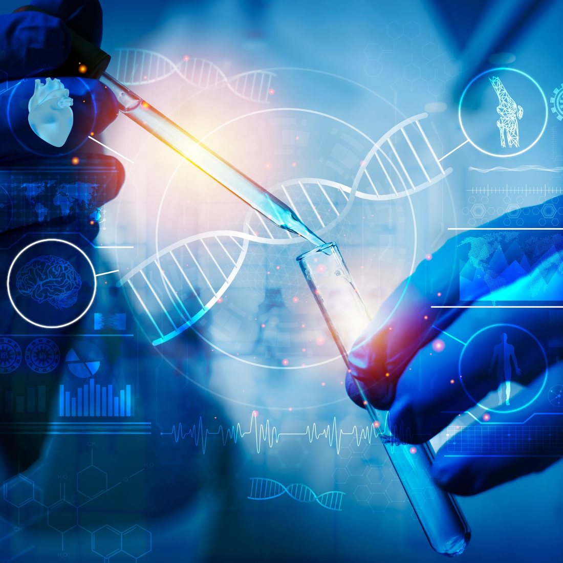 DNA analysis and forensic genetic genealogy